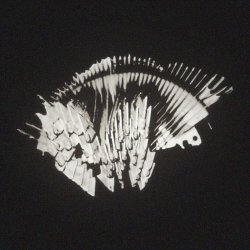 Permanent Shadows - Anx (2026) [EP]