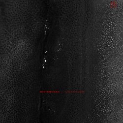 Shintarø Kanie - Flood Far Zone (2026) [EP]