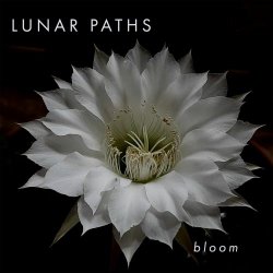 Lunar Paths - Bloom (2026) [Single]