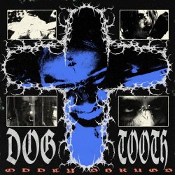 Oddly Shrugs - Dogtooth (2026) [EP]