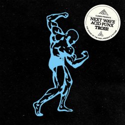 VA - Next Wave Acid Punx TROIS (2026) [3CD]