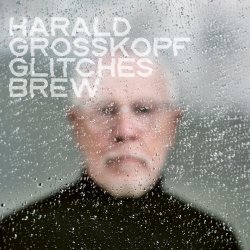 Harald Grosskopf - Glitches Brew (2026)