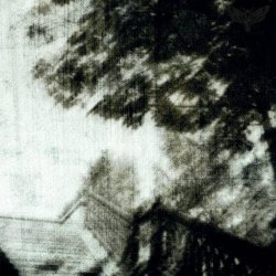 Polterngeist - Shadows Of Dead Spring (2024)