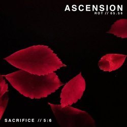 Ascension - Rot (2025) [Single]