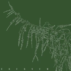 Atropa - Eburnum (2018)