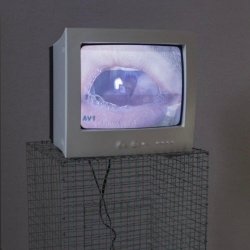 Lucy La Dusk - Forget Me Not (2026)