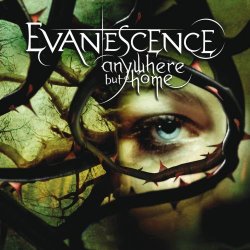 Evanescence - Anywhere But Home (Live) (2004)