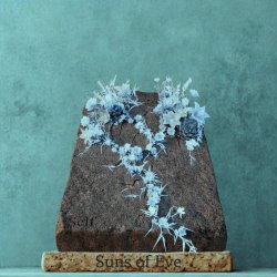 Suns Of Eve - Self (2026) [Single]