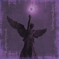 Vioflesh - Intuition (2026) [Single]