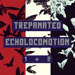 birthCenter - Trepanated Echolocomotion 1 + 2 (2025)