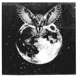 NEVER - Echxes (2026) [Single]