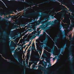 Polygonia - In The Dead Of Night (2019)