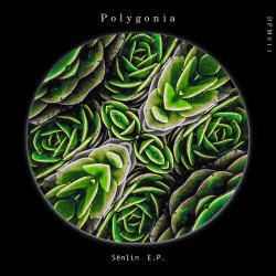 Polygonia - Sēnlín (2021) [EP]