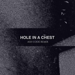The Spoiled - Hole In A Chest (Ash Code Remix) (2026) [Single]