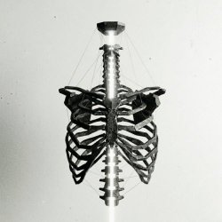 Chalice Sect - Undefined (2026) [Single]
