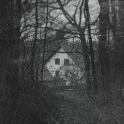 Chainlacing - Nisene (2025) [Single]