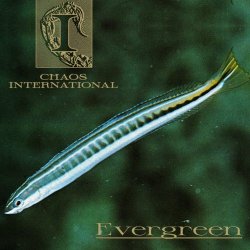 Chaos International - Evergreen (2026) [Single]