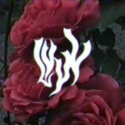 The Bernadette Maries - Lvvv (2025) [EP]