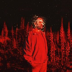 Theodore - A Cold Summer (2026) [Single]