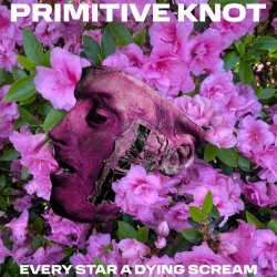 Primitive Knot - Every Star A Dying Scream (2025)