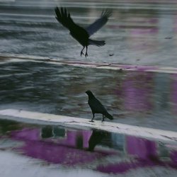 Skyplant - Dark Mirrors And Empty Hats (2024) [Single]