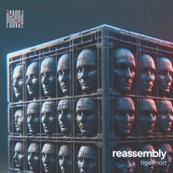 TigerMort - Reassembly (2024) [EP]