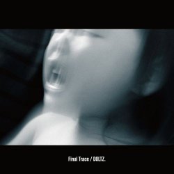 Doltz - Final Trace (2026)
