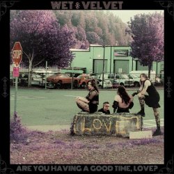 Wet Velvet - Are You Having A Good Time, Love? (2026)