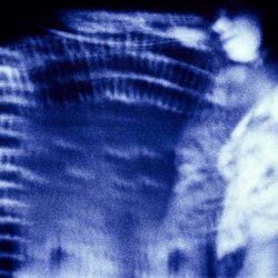 Wet Velvet - The Spaces Between (2023) [EP]