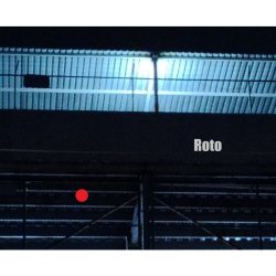 Pensamiento Crítico - Roto (2026) [Single]