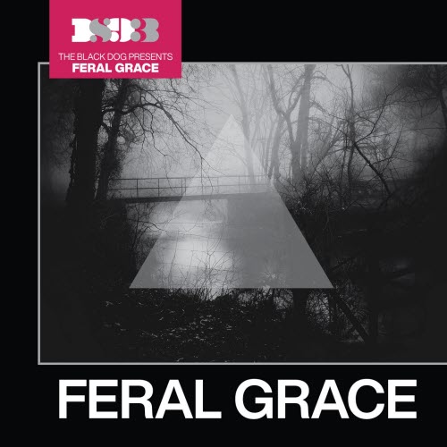 The Black Dog - Feral Grace (2026)