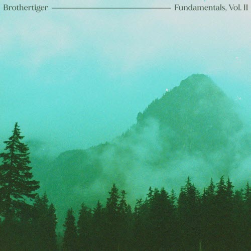 Brothertiger - Fundamentals Vol. II (2020)