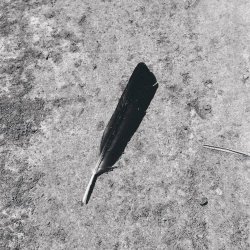 Function - Green (2023) [EP]