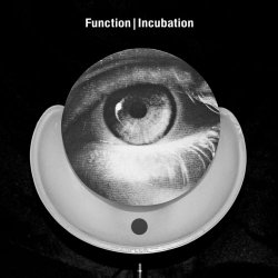 Function - Incubation (2013)