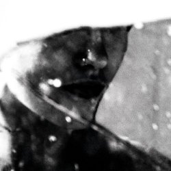 Purgate - Leavings (2026)