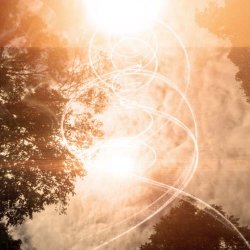 Solenoide - Polillas (2026) [Single]
