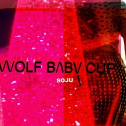Wolfbabycup - Soju (2024) [Single]