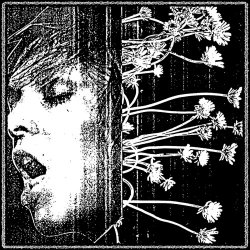 Psychic Guilt - A Dark Dream II (2026) [EP]