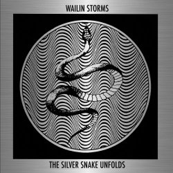 Wailin Storms - The Silver Snake Unfolds (2024)