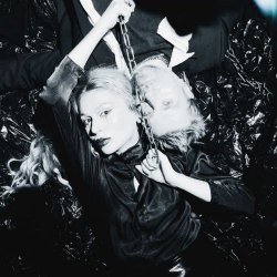 Les Discrets / Alcest ブラックメタル Les Discrets / Alcest